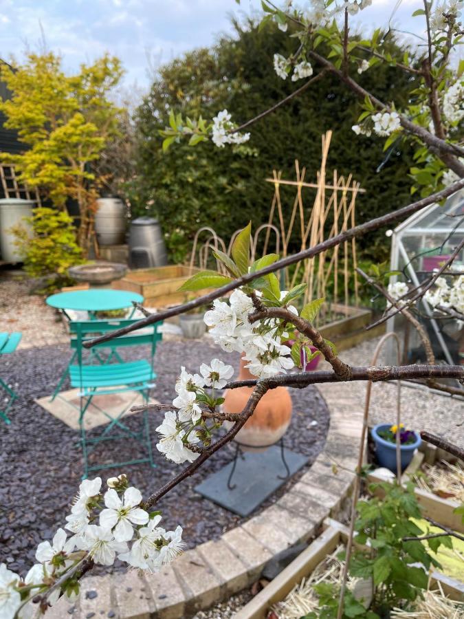 Little Haven Apartment Дартмут Екстериор снимка